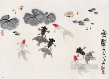 Animal Painting - Wu zuoren goldfish in waterlilies fish